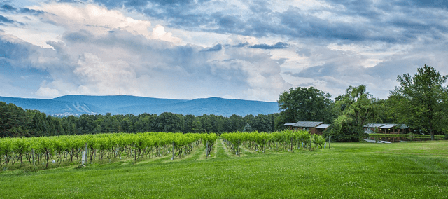 State College - 1469517_30190