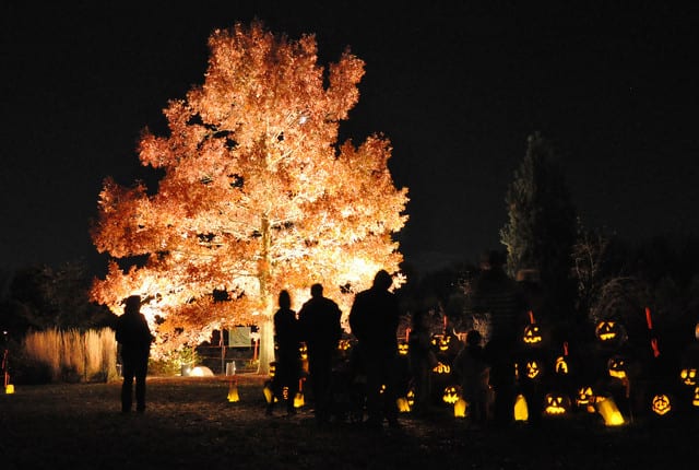TGIF: State College Weekend Events for Oct. 14-16