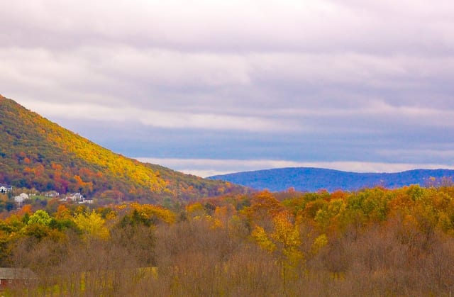 State College - 1470051_30777