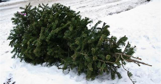 State College - 1470568_31318