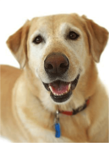 State College - 1471288_32114