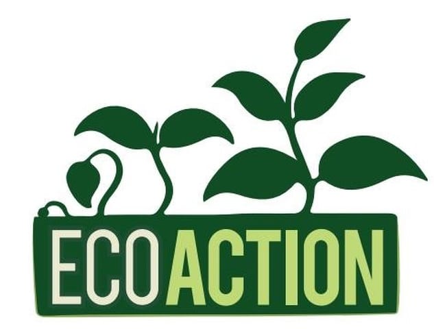 State College - EcoPalooza
