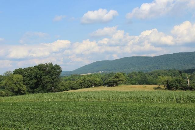 State College - 1472602_33587