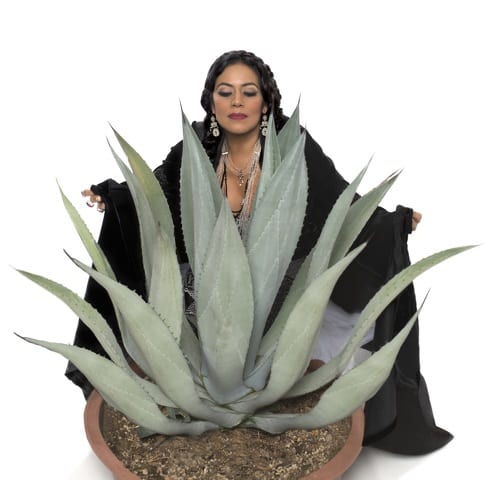 On Center: Mexican American Lila Downs tells impassioned stories through song