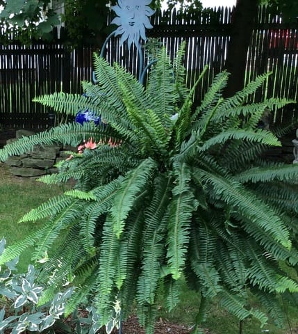 State College - 1473745_34881