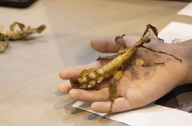 State College - 1473820_34962