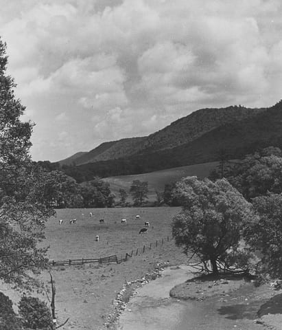 State College - Farmland