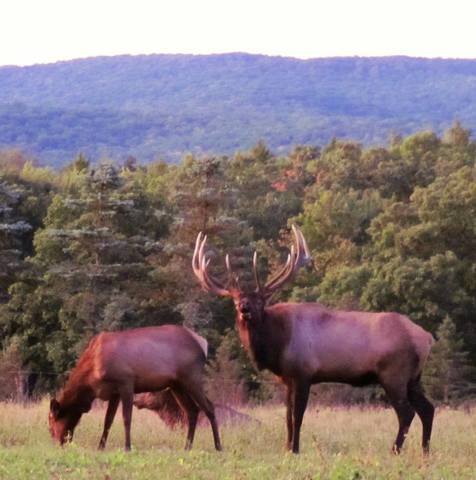 State College - 1473955_35116