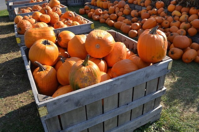 State College - 1474256_35477