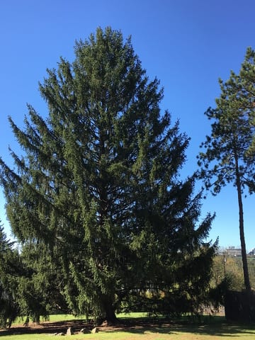 State College - 1474284_35507