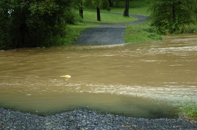 State College - 1475104_36467