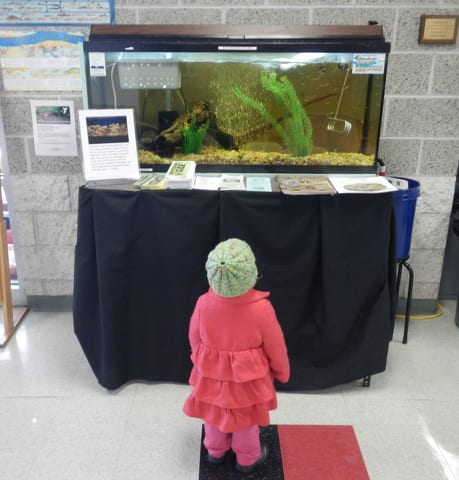 State College - The Y Trout Project gets their attention.