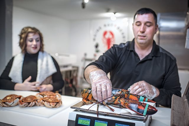State College - Maine Bay & Berry