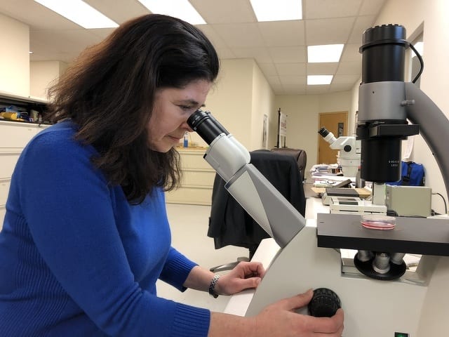 Local Startup on the Cutting Edge of Cloning Technology