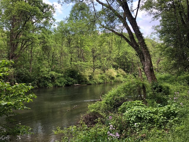 State College - 1477028_38665