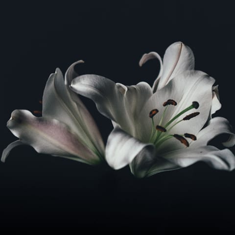 State College - 1477077_38719