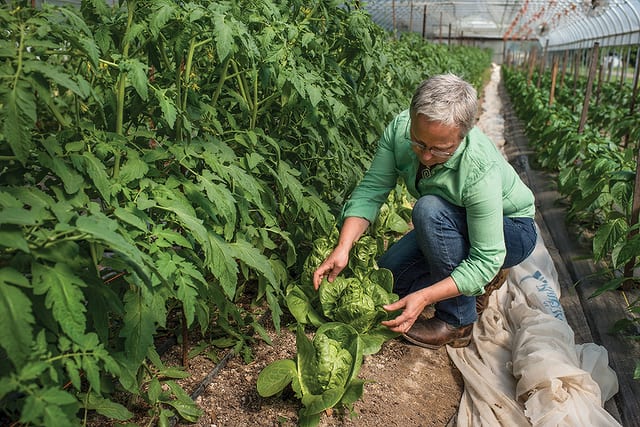 State College - 1477098_38740