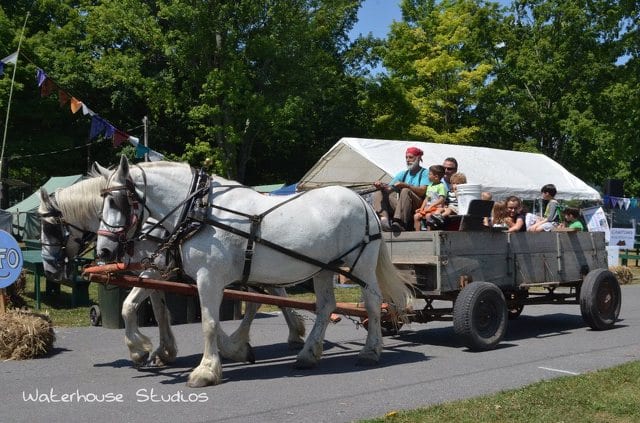 State College - 1477251_38911