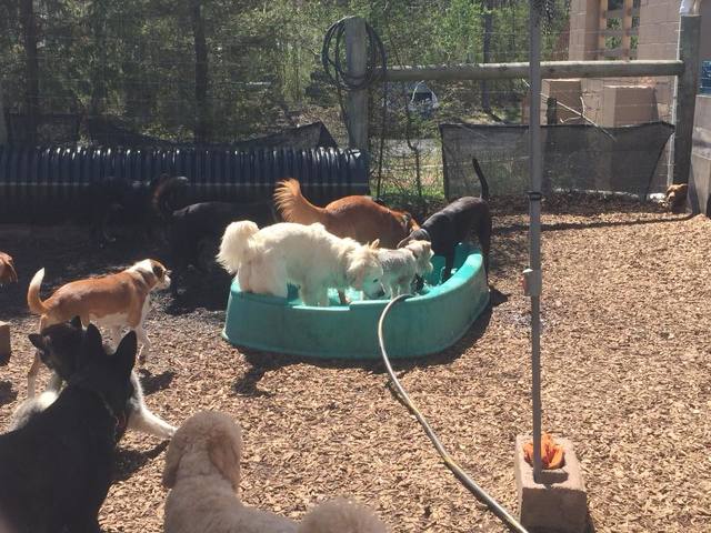 State College - 1477281_38948