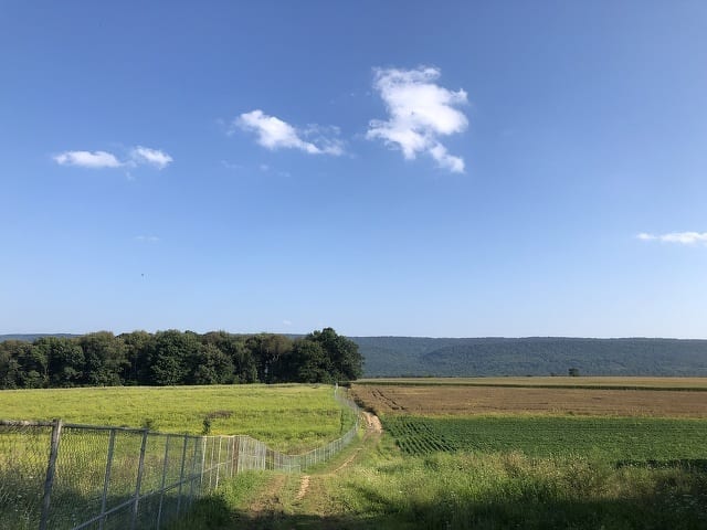 State College - 1477621_39354