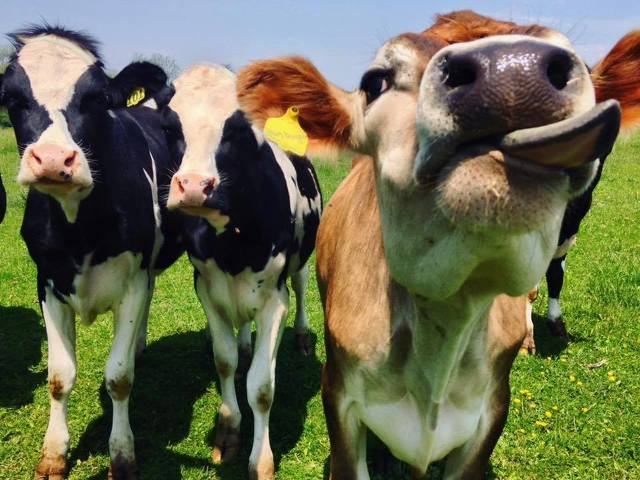 State College - 1478003_39842