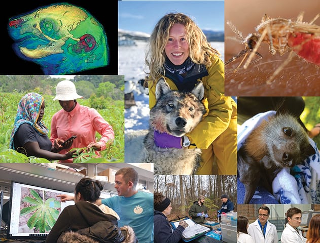 State College - Huck Institutes of the Life Sciences|Peter Hudson and Andrew Read