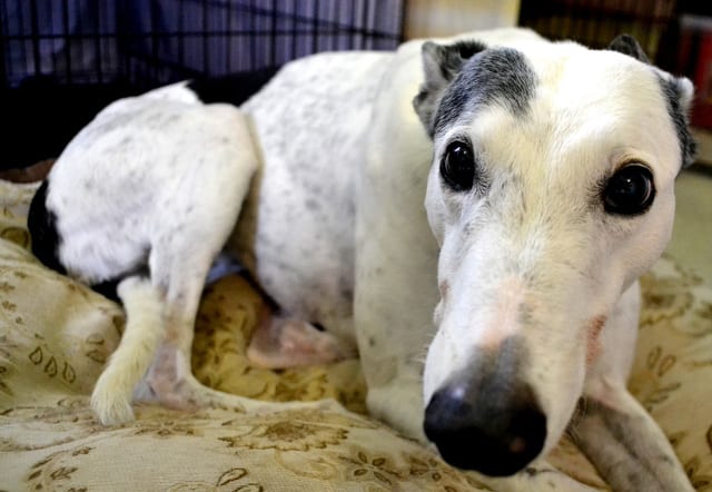 State College - 1478710_40671