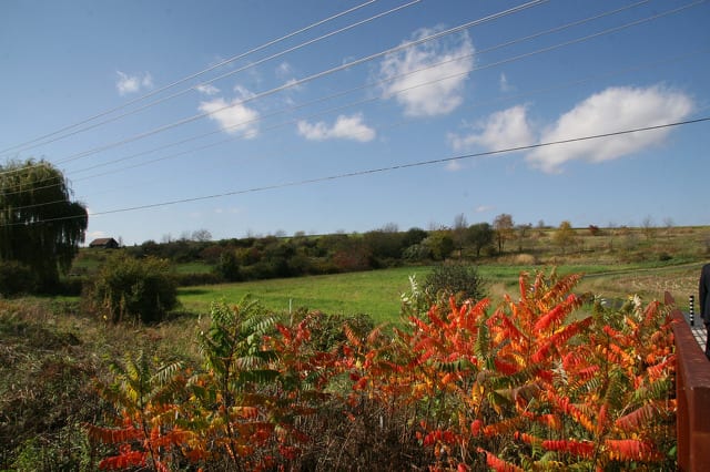 State College - 1478730_40692