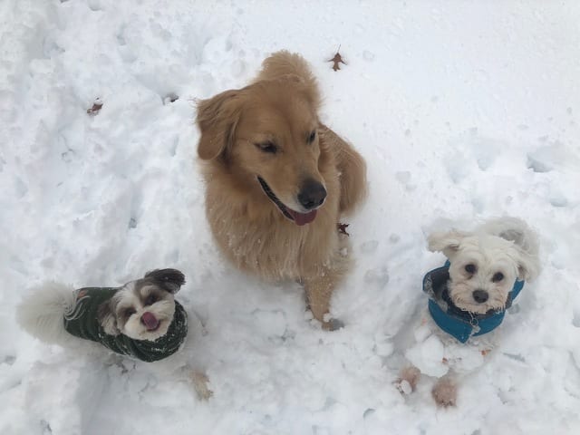 State College - 1479125_41151