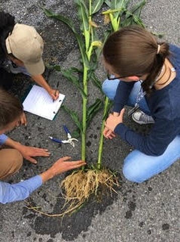 State College - 1479533_41654