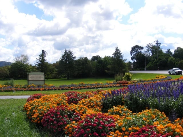 State College - 1479534_41655
