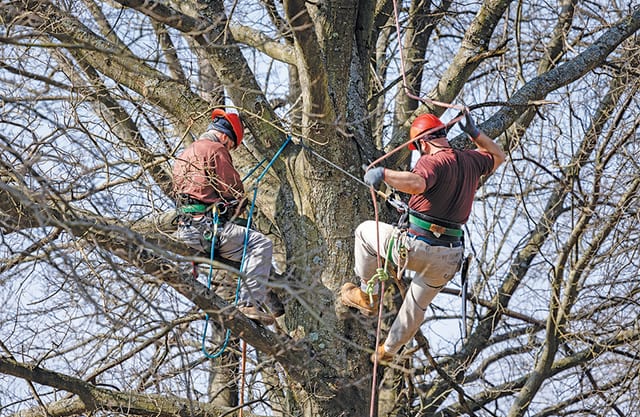 State College - Green job training in Centre County, Pa.