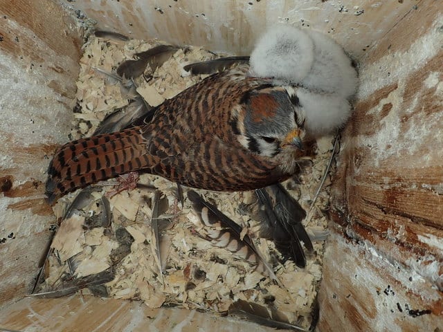 State College - OLYMPUS DIGITAL CAMERA