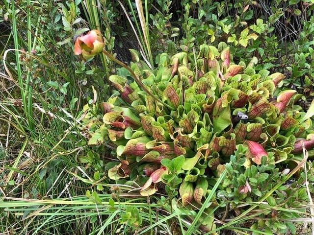 State College - 1481076_43585