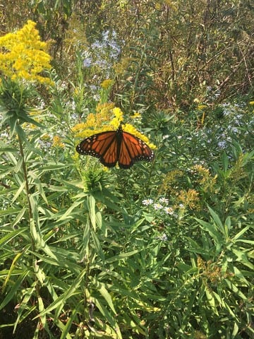 State College - 1481300_43852