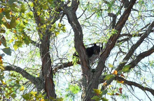 State College - 1481382_43963