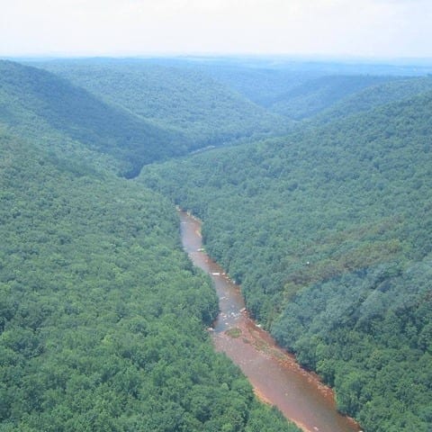 State College - 1481394_43976