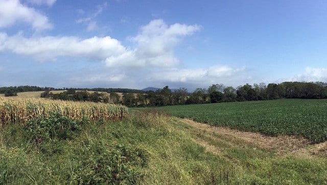 State College - 1482094_44829