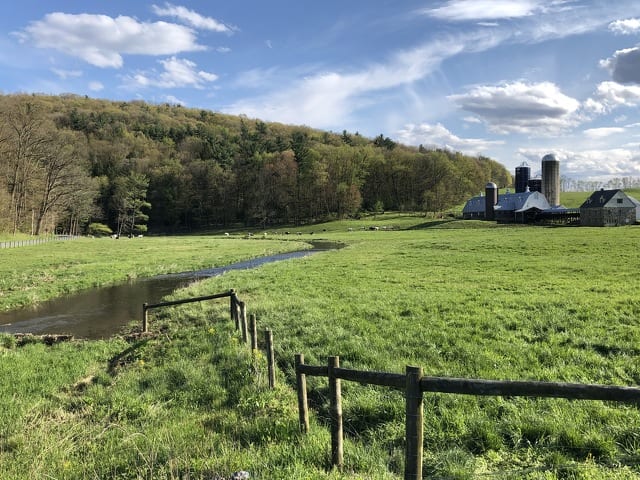 State College - 1483236_46263