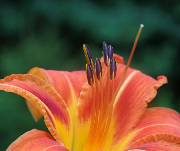 State College - 1483566_46651