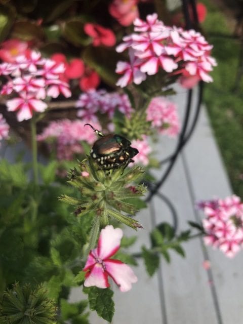 State College - 1483736_46860