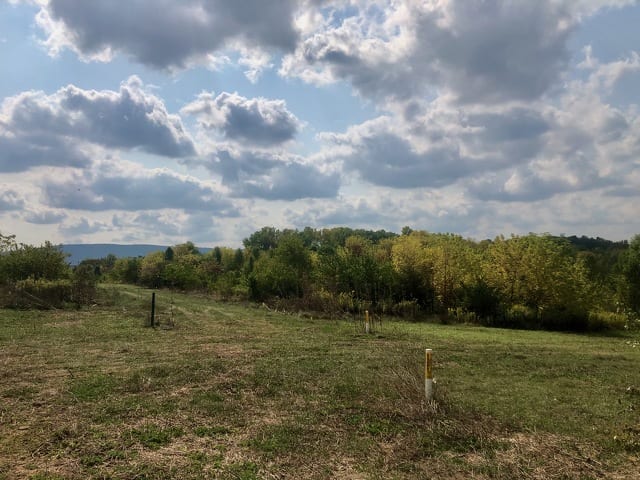 State College - 1484092_47303
