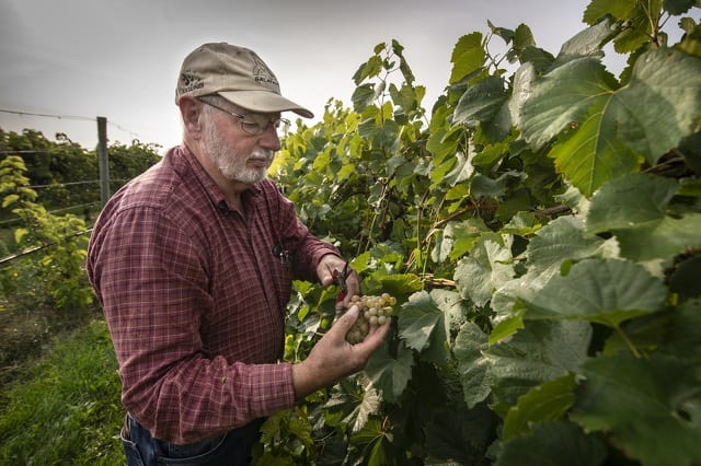 State College - Happy Valley Winery|Mount Nittany Winery|Seven Mountains