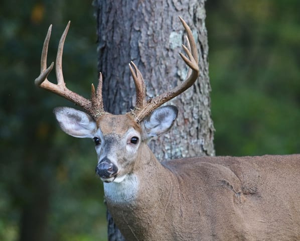 State College - 1484211_47444