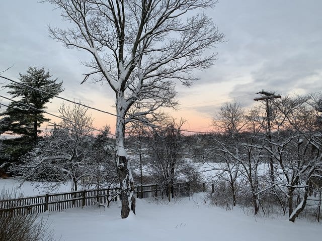 State College - 1484735_48102