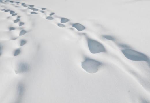 Easy renter-friendly tips to weatherize your home