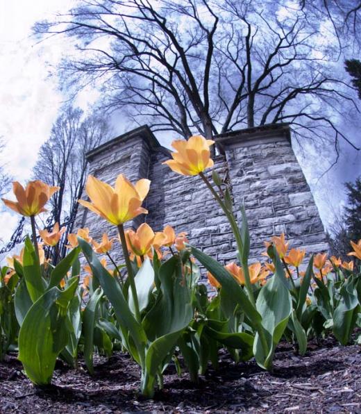 State College - 370214_1894