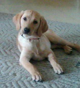 State College - 399402_2320