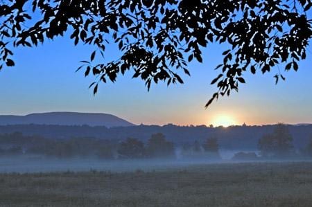 State College - 409419_2359