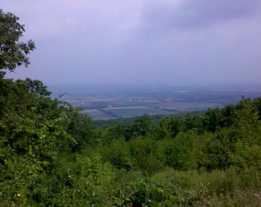 State College - 495596_3083